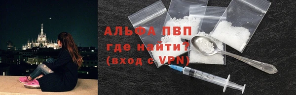 сатива Пролетарск