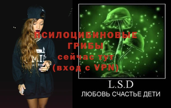 гидра Инсар