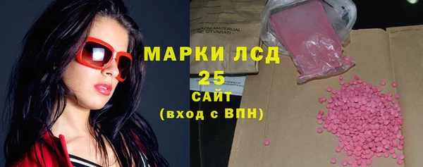 гидра Инсар