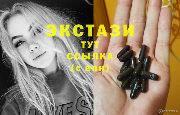 гидра Инсар