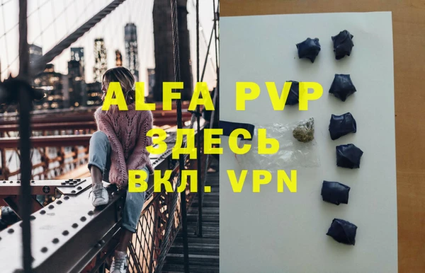 гидра Инсар