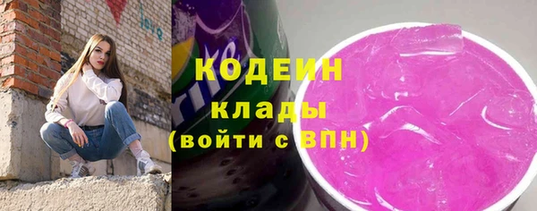 соль ск Окуловка