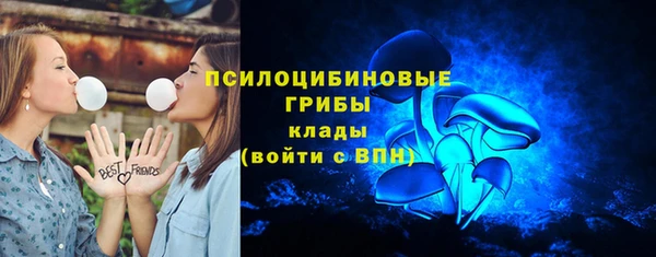 не бодяженный Иннополис