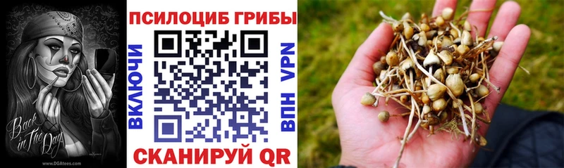 Галлюциногенные грибы MAGIC MUSHROOMS  Советск 
