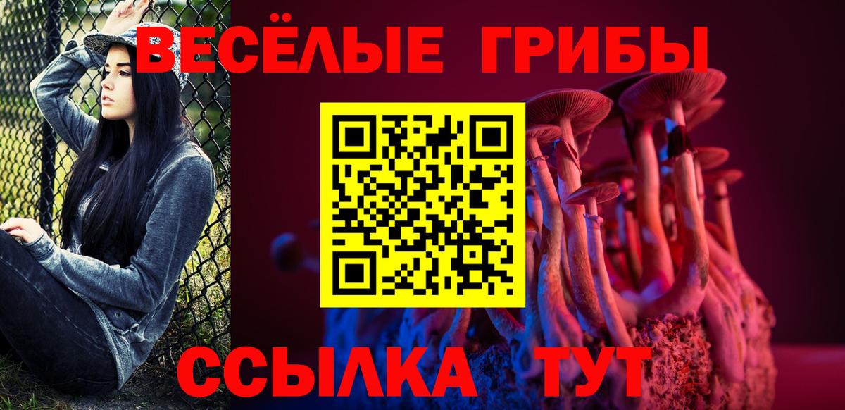 Советск  Псилоцибиновые грибы Psilocybine cubensis  Псилоцибиновые грибы мицелий  Вход с VPN 