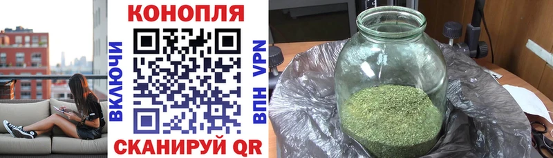 наркота  Советск  МАРИХУАНА семена 